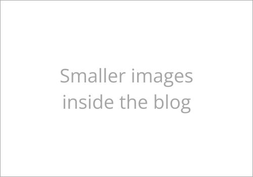 write alt text here